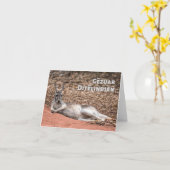 Gëzuar Ditëlindjen, Albanees verjaardag Kaart (Gele Bloem)