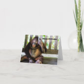 Gëzuar Ditëlindjen, Albanees verjaardag Kaart (Voorkant)