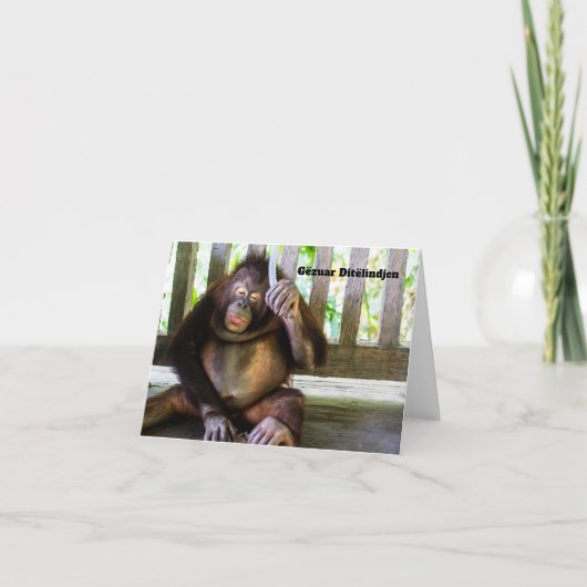 Gëzuar Ditëlindjen, Albanees verjaardag Kaart (Voorkant)