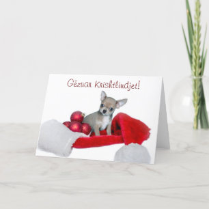 Gëzuar Krishtlindjet Christmas Chihuahua hond Feestdagen Kaart