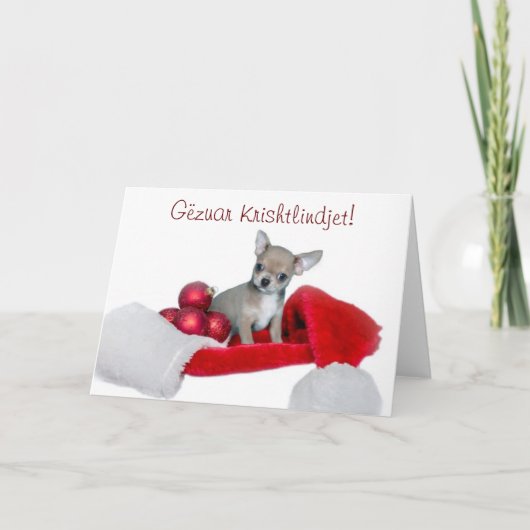 Gëzuar Krishtlindjet Christmas Chihuahua hond Feestdagen Kaart (Voorkant)