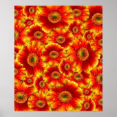 Ggloed Gerbera Daisies Poster (Voorkant)