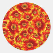 Ggloed Gerbera Daisies Ronde Sticker (Voorkant)