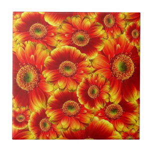 Ggloed Gerbera Daisies Tegeltje