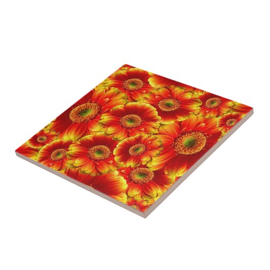 Ggloed Gerbera Daisies Tegeltje (Zijkant)