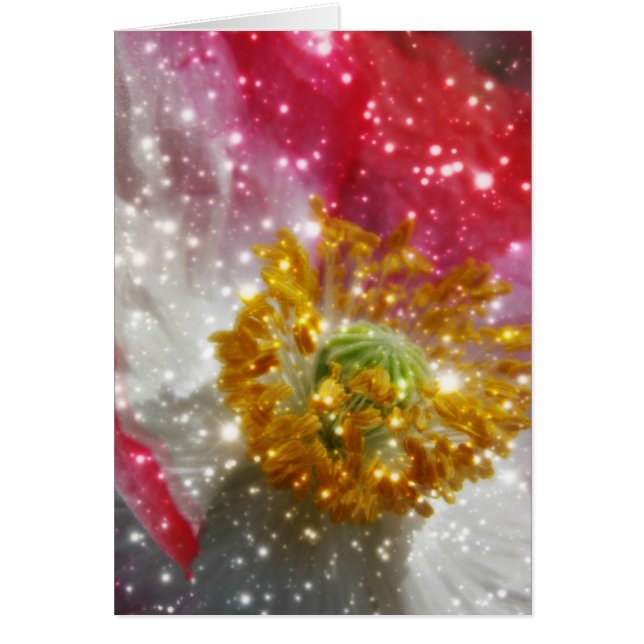 Ggloed Poppy (Voorkant)