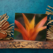 Ggloeiend Bromeliad Plaque Fotoplaat (Zijkant)