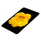 Ggloeiend geel Nasturtium Premium Magnet Magneet (Linkerzijde)