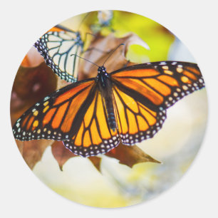Ggloeiend monarch-ticker ronde sticker