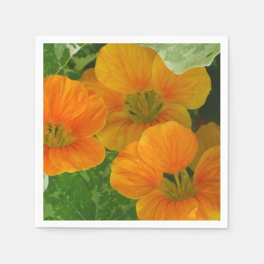 Ggloeiend Nasturtium Paper Napkins Servetten (Voorkant)