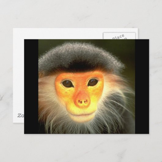 Ggloeiende aap briefkaart (Voorkant / Achterkant)
