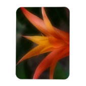 Ggloeiende Bromeliad Magnet Magneet (Verticaal)