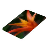 Ggloeiende Bromeliad Magnet Magneet (Linkerzijde)