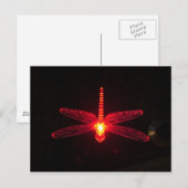 Ggloeiende Dragonfly Briefkaart (Voorkant / Achterkant)