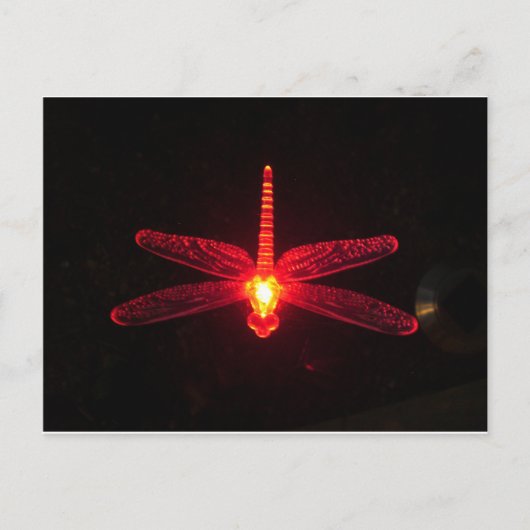Ggloeiende Dragonfly Briefkaart (Voorkant)