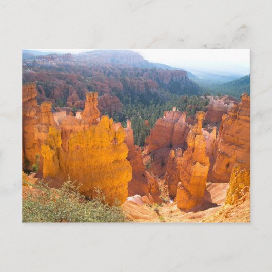 Ggloeiende hoeken briefkaart (Voorkant)