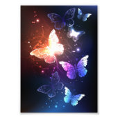 Ggloeiende nachtvlinders foto afdruk (Voorkant)