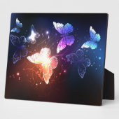 Ggloeiende nachtvlinders fotoplaat (Zijkant)