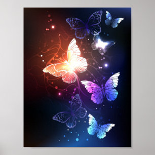 Ggloeiende nachtvlinders poster