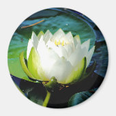 Ggloeiende witte Lotus Magneet (Voorkant)