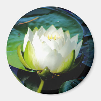 Ggloeiende witte Lotus Magneet
