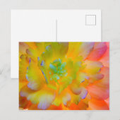 Ggloing Begonia Blossom | Seabeck, WA Briefkaart (Voorkant / Achterkant)