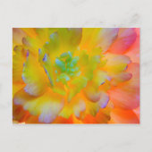 Ggloing Begonia Blossom | Seabeck, WA Briefkaart (Voorkant)