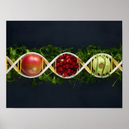 GGO-voeding en genetisch gemodificeerde gewassen Poster