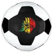 Ghana Voetbal (Gedraaid)