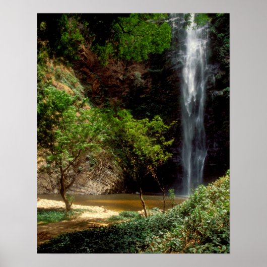 Ghana: Wli Herfsten, alias Agumatsa Herfsten (Volt Poster (Voorkant)