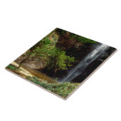 Ghana: Wli Herfsten, ook bekend als Agumatsa-Herfs Tegeltje (Zijkant)