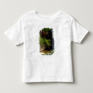 Ghana: Wli-watervallen, ook bekend als Agumatsa-wa Kinder Shirts