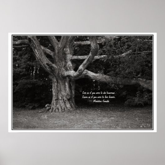 Ghandi Quote Poster, Perley Oak Monochrome Poster (Voorkant)