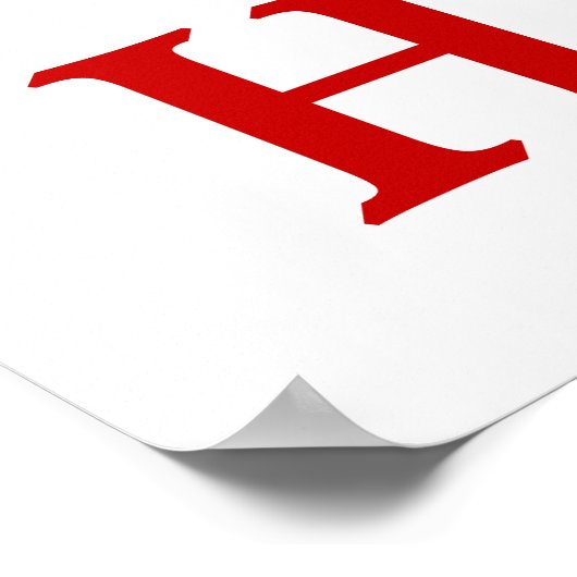 GHawk 23-inch X 34-inch Poster (Hoek)