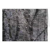 Ghear Icy Forest in Morning Light I (Voorkant Horizontaal)