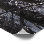 Ghear Icy Forest in Morning Light I Poster (Hoek)