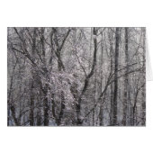 Ghear Icy Forest in Morning Light II (Voorkant Horizontaal)