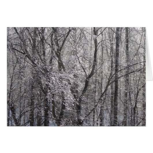 Ghear Icy Forest in Morning Light II (Voorkant Horizontaal)