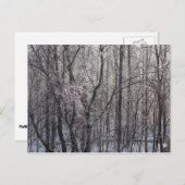 Ghear Icy Forest in Morning Light II Briefkaart (Voorkant / Achterkant)