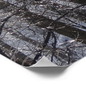 Ghear Icy Forest in Morning Light II Poster (Hoek)