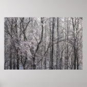 Ghear Icy Forest in Morning Light II Poster (Voorkant)