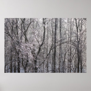 Ghear Icy Forest in Morning Light II Poster