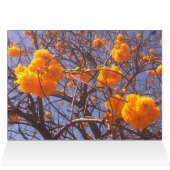 Ghimpapan Tree en Nagas, Chiang Mai (Binnen Horizontaal (Boven))