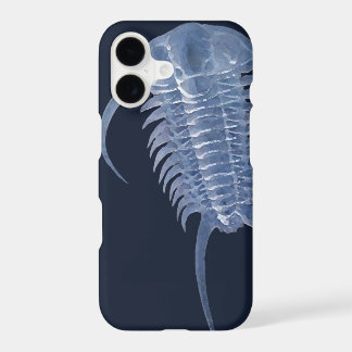 Ghofestblauw Paraceraurus Trilobite