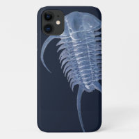 Ghofestblauw Paraceraurus Trilobite