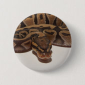 Ghost Ball Python Button (Voorkant)
