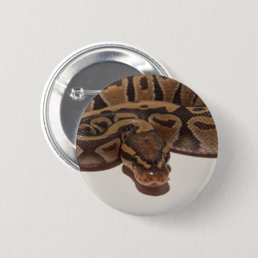 Ghost Ball Python Button (Voorkant /achterkant)