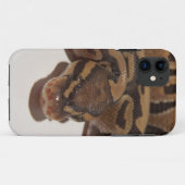 Ghost Ball Python Case-Mate iPhone Case (Achterkant (horizontaal))