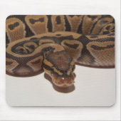 Ghost Ball Python Mousepad Muismat (Voorkant)