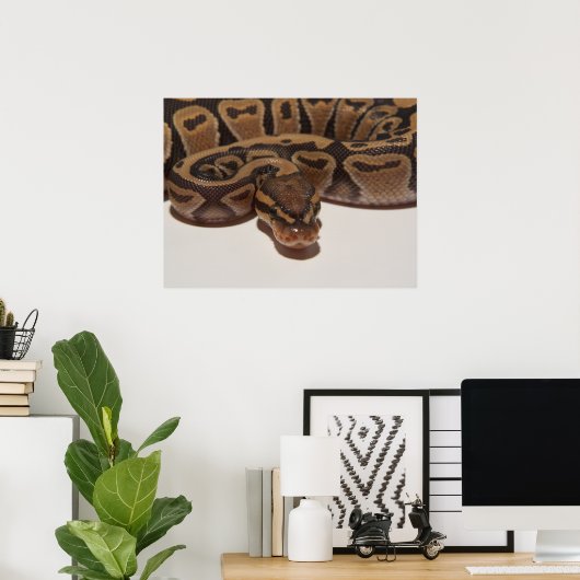 Ghost Ball Python Poster (Thuiskantoor)